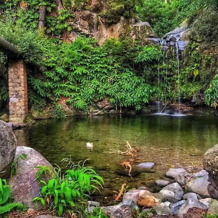 Апартаменты Casa Da Cascata Do Segredo Agua de Alto Экстерьер фото